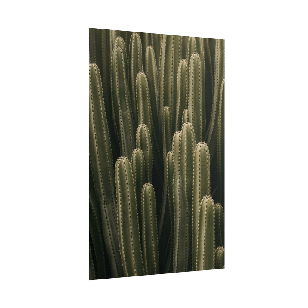 Column Cactus Print