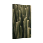 Column Cactus Print