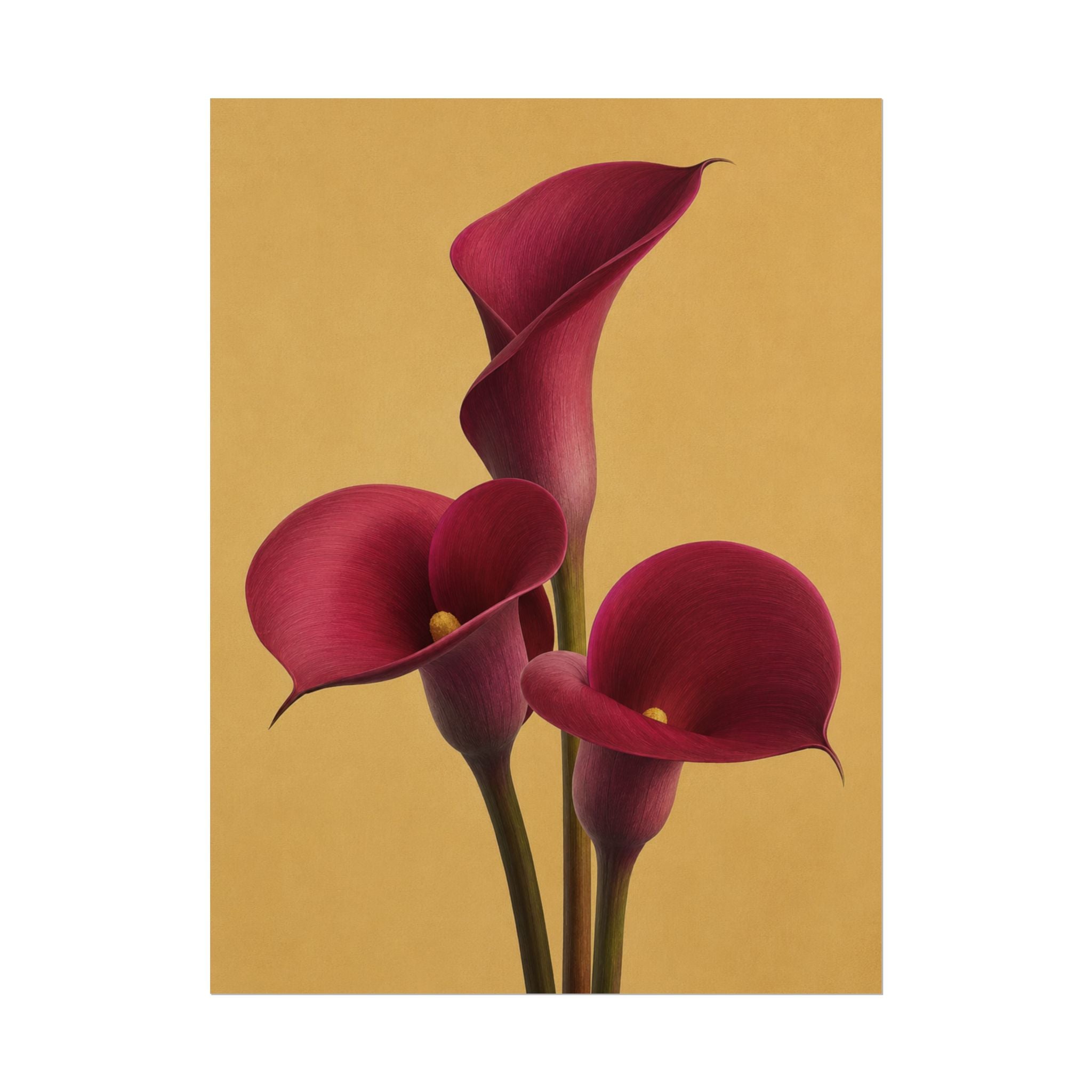 Burgundy Calla Lily Print