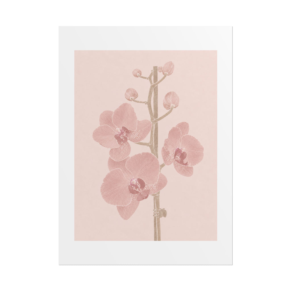 Blush Orchid Branch Print