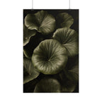 Round Leaf Botanical Print