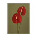 Red Anthurium Print