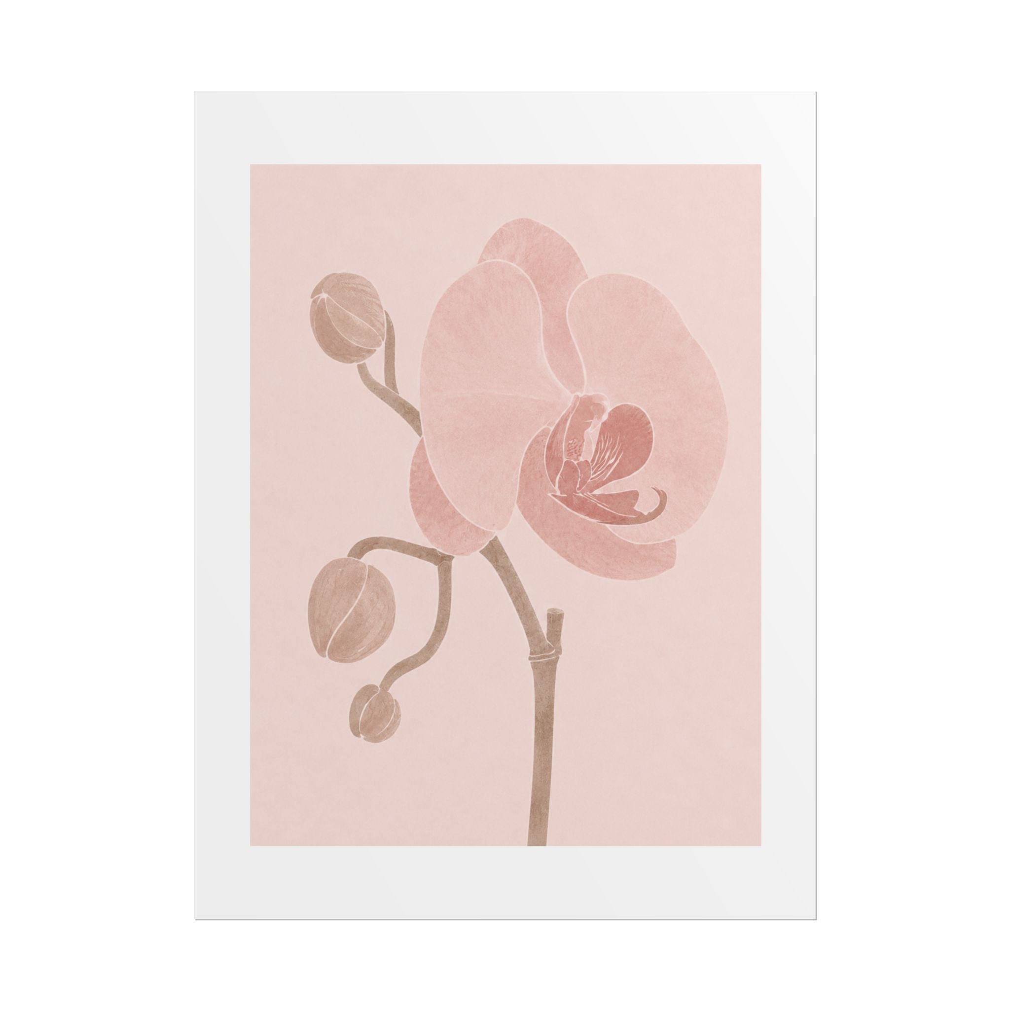 Soft Pink Orchid Print