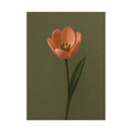 Peach Tulip Print