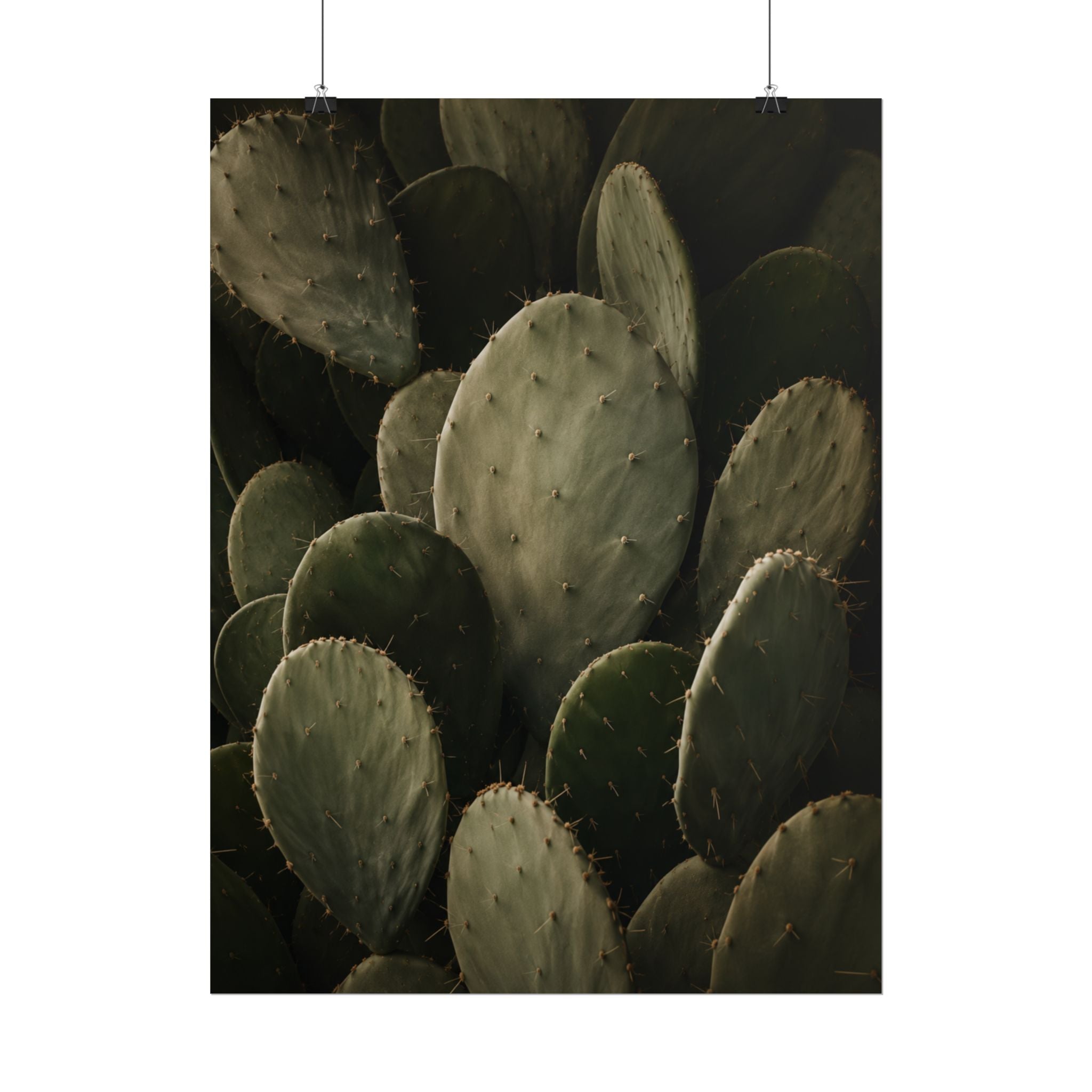 Dark Cactus Print