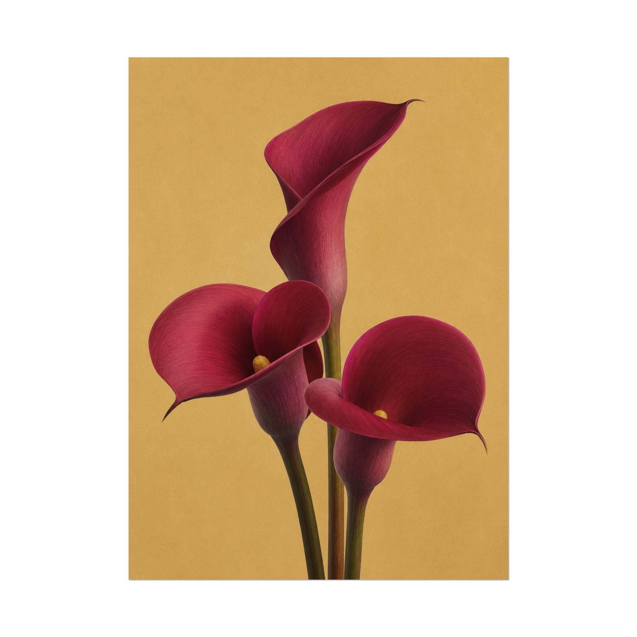 Burgundy Calla Lily Print