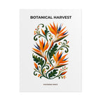 Bird of Paradise Botanical Print