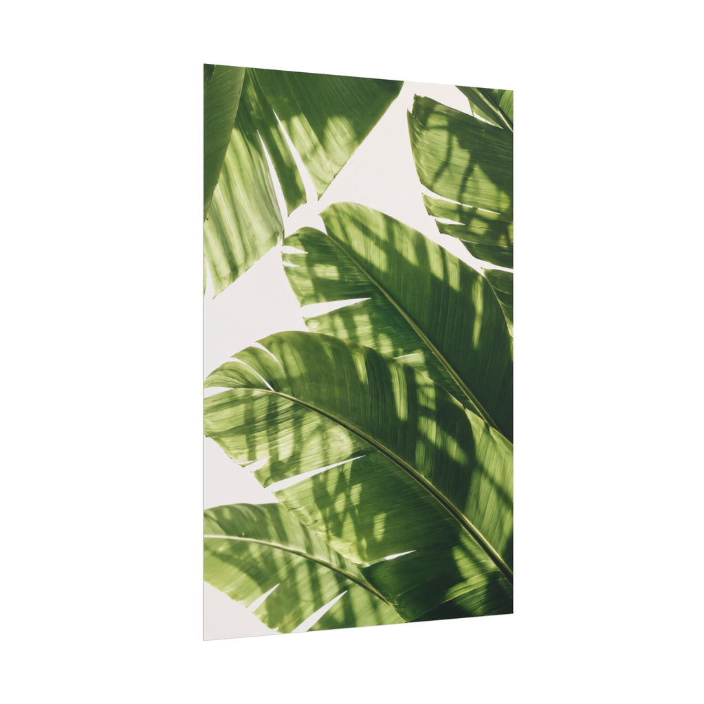 Banana Leaf Shadow Print