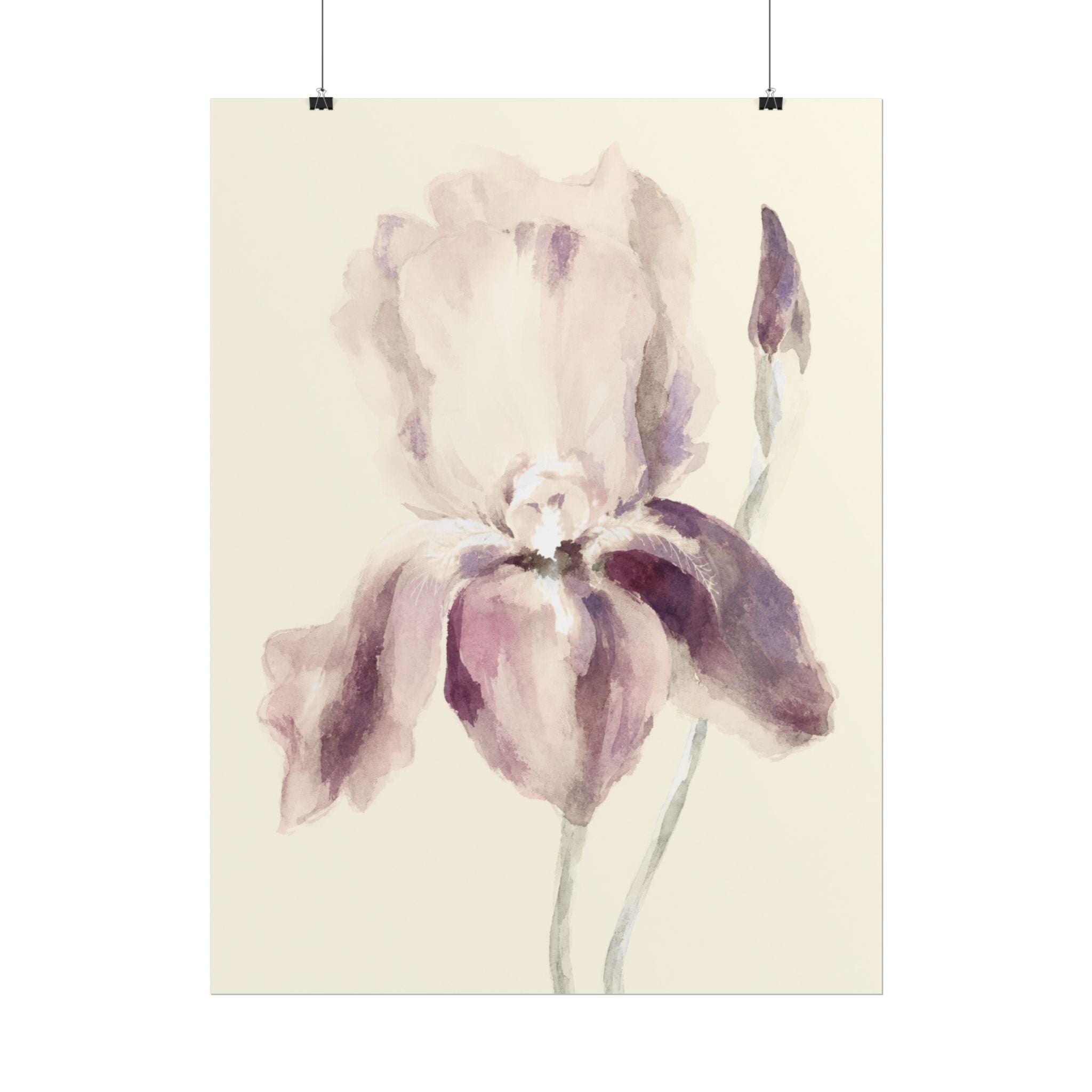 Purple Iris Print