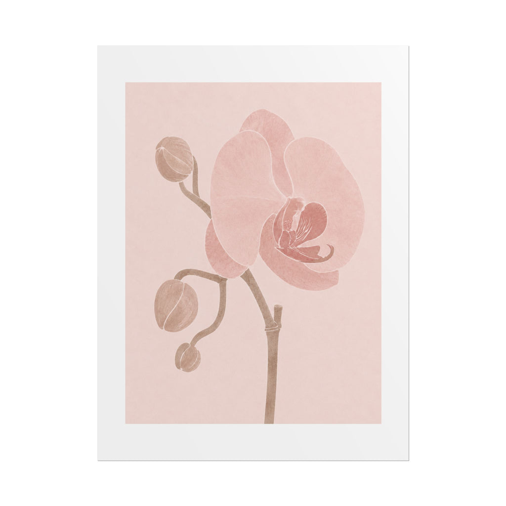 Soft Pink Orchid Print
