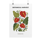 Anthurium Botanical Print