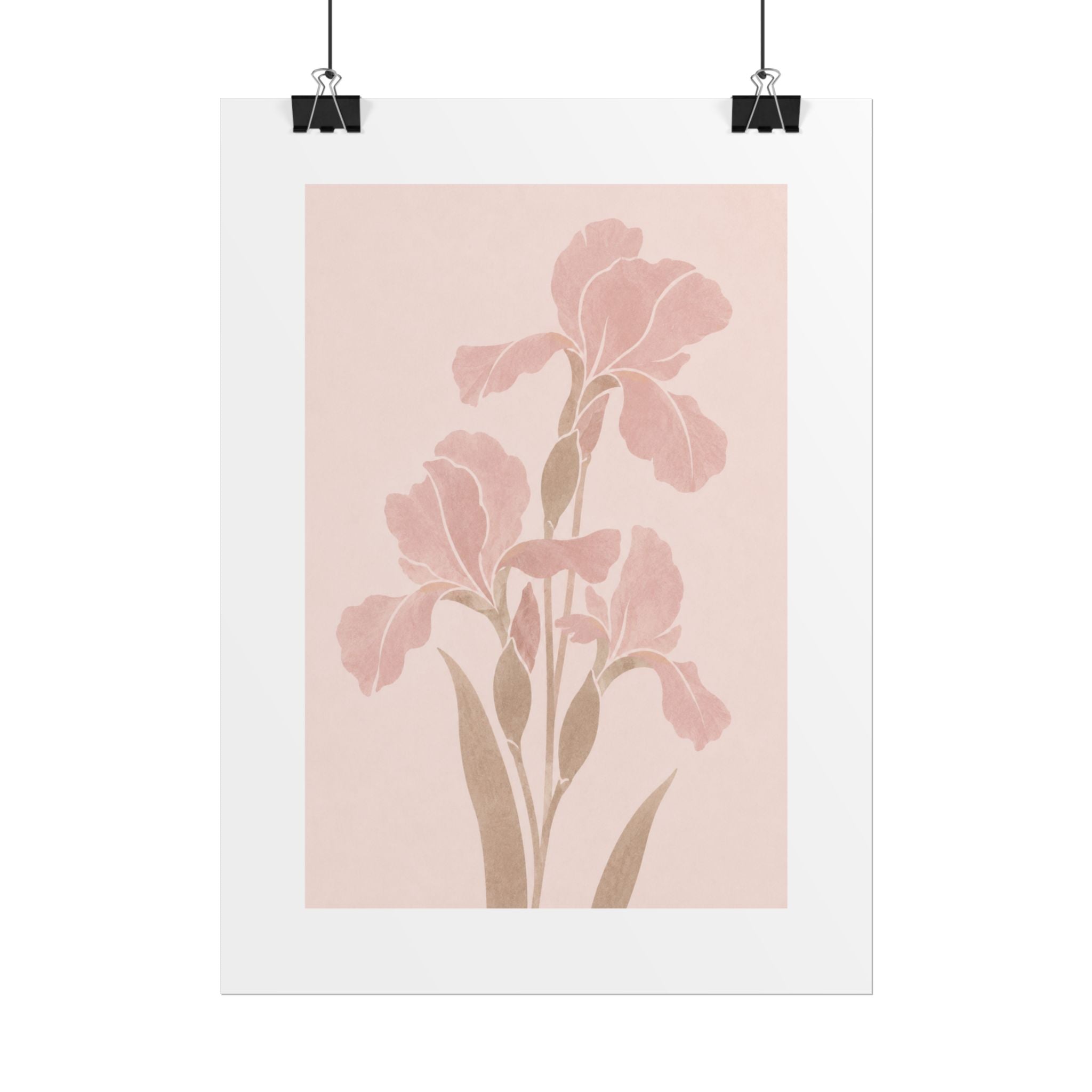 Blush Iris Stem Print