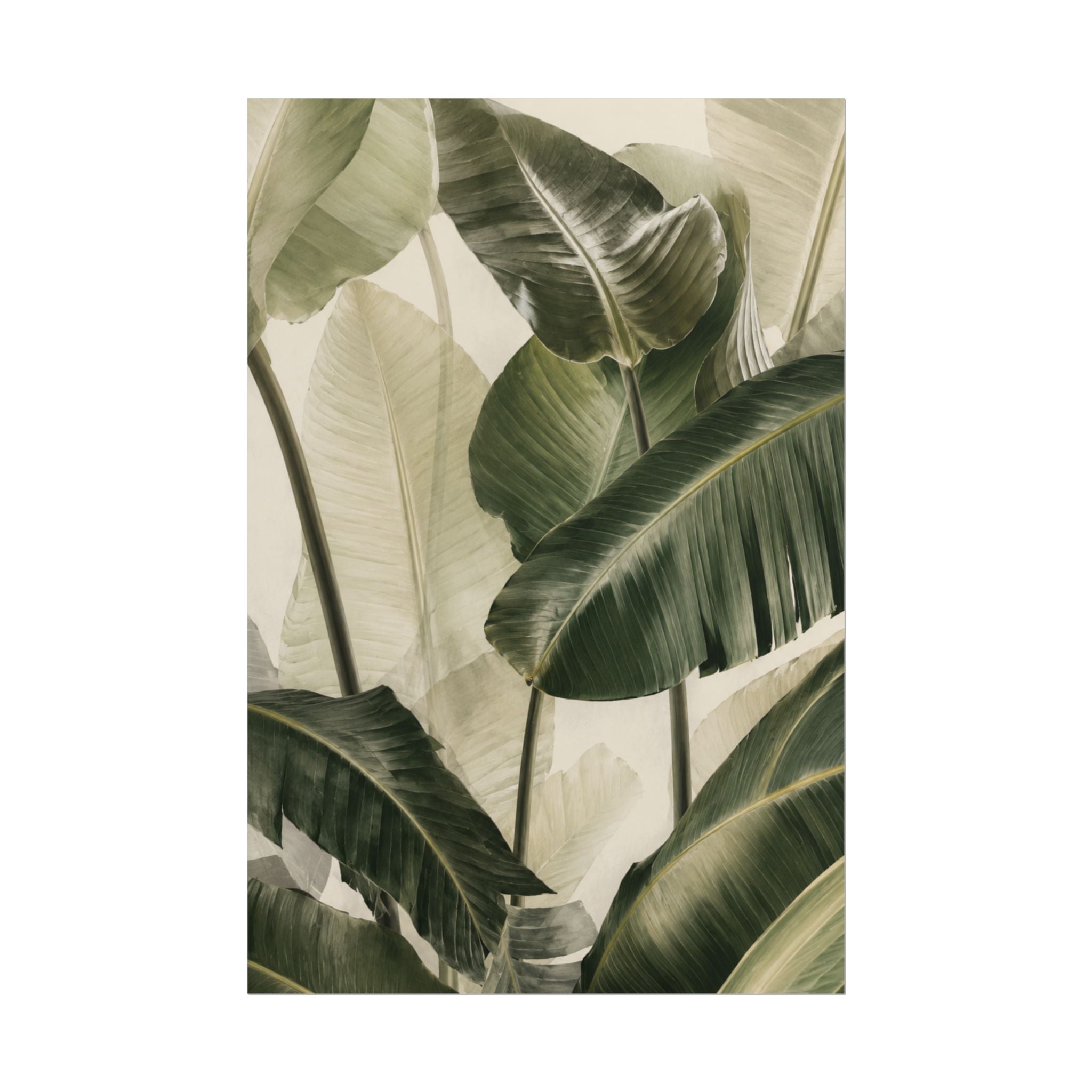 Tropical Foliage Print