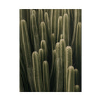Column Cactus Print