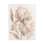 Soft White Iris Print