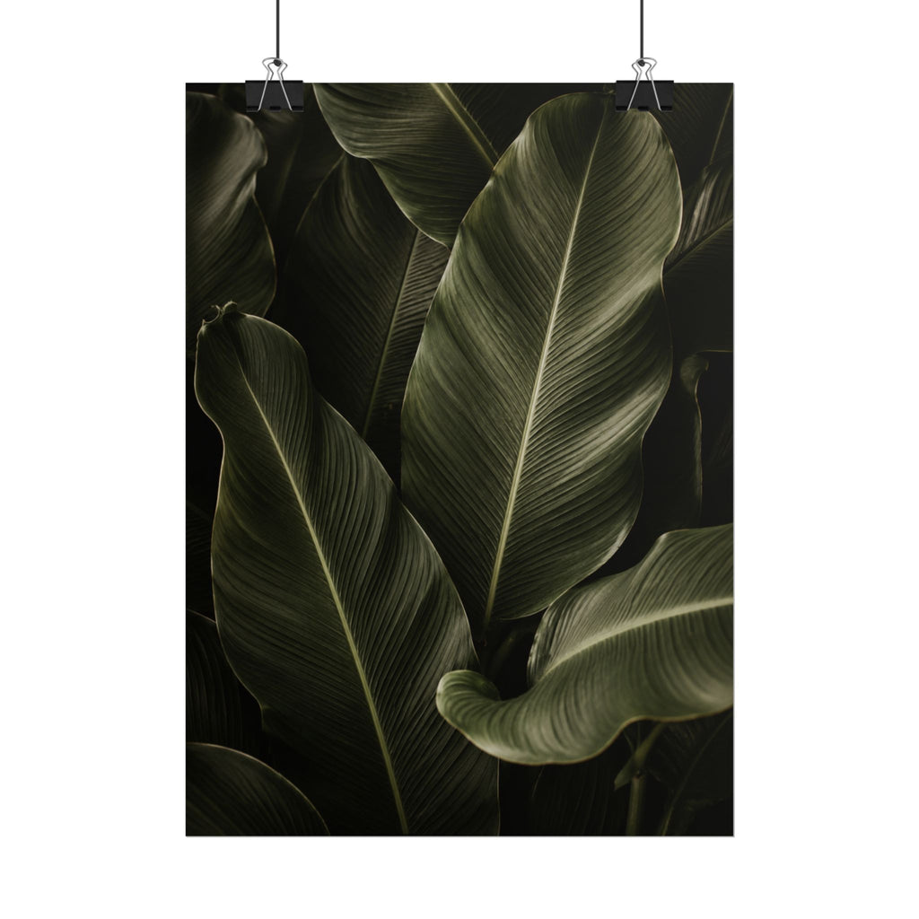 Dark Banana Leaf Print