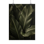Dark Banana Leaf Print