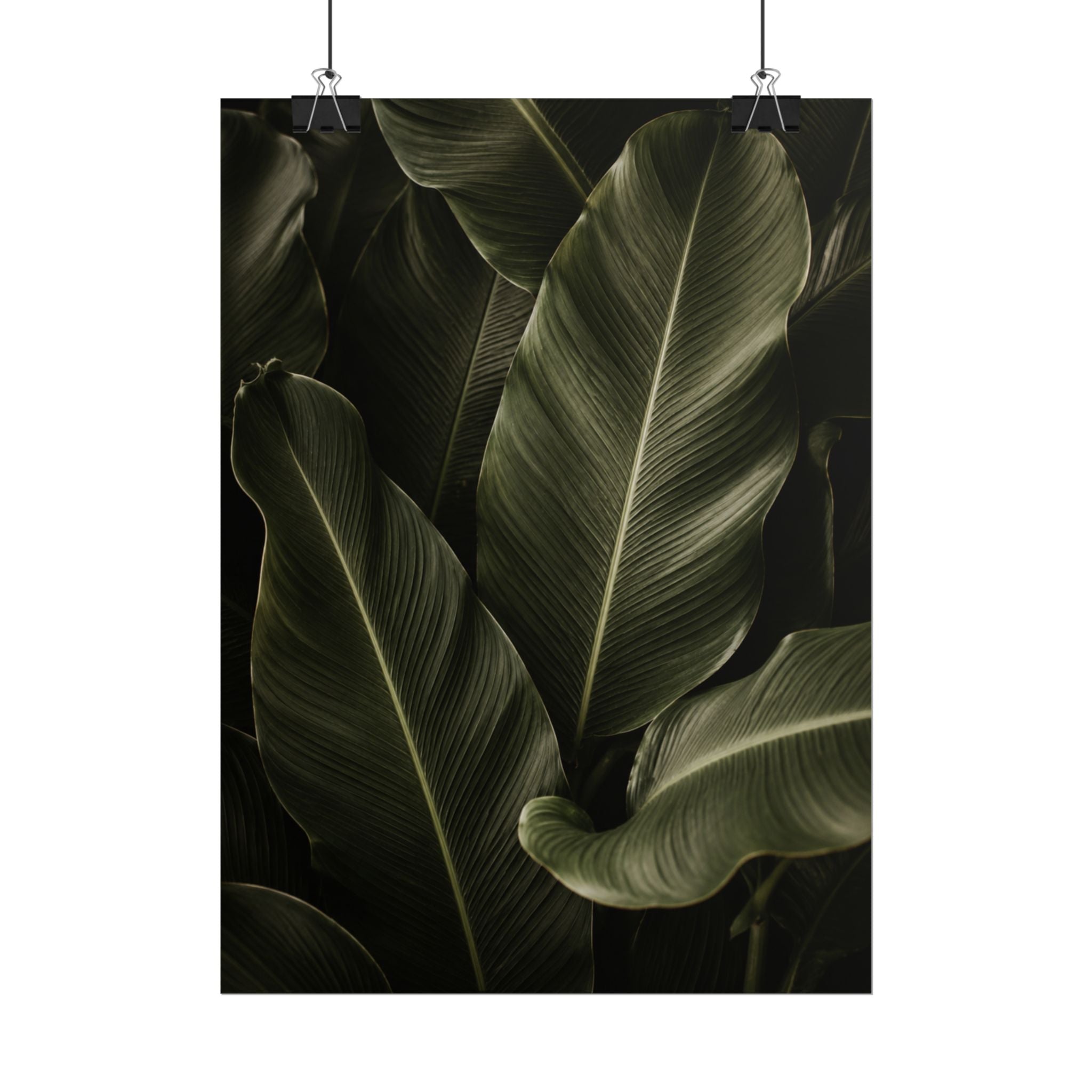 Dark Banana Leaf Print