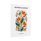 Bird of Paradise Botanical Print