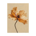 Golden Poppy Print