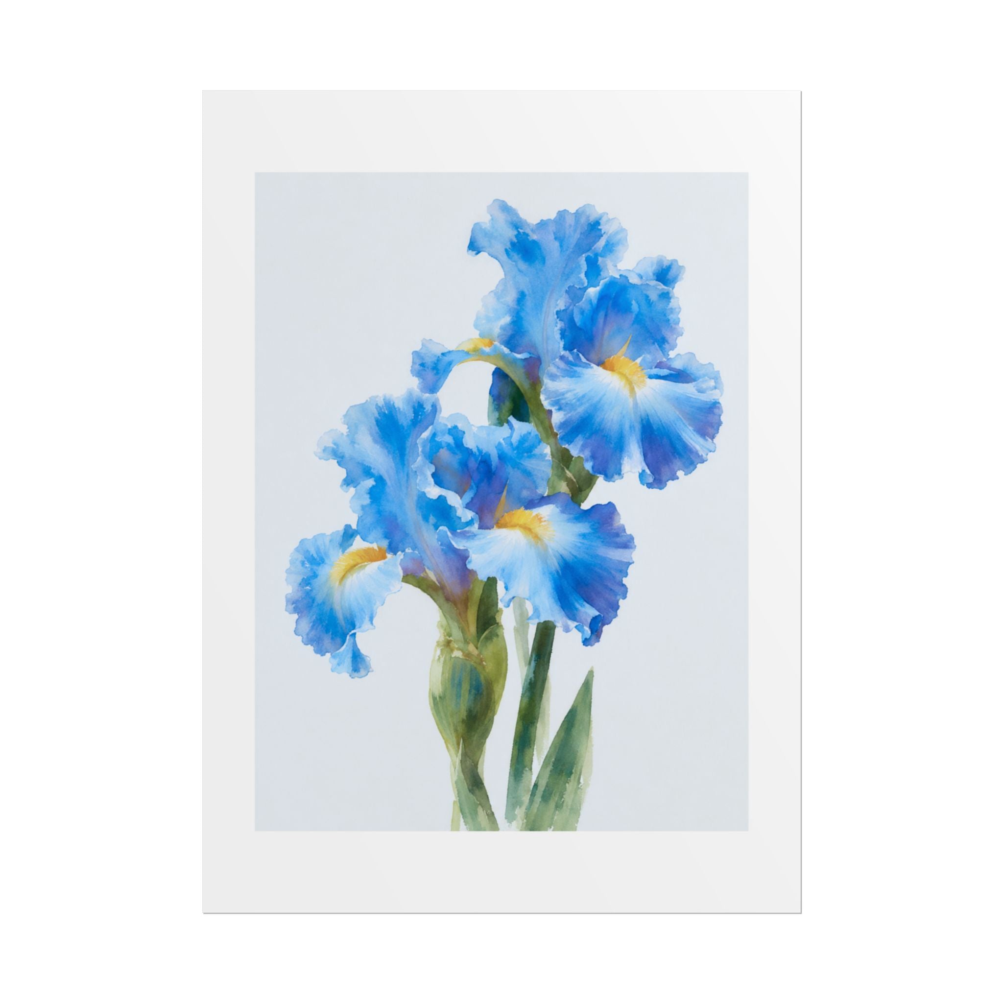 Blue Iris Watercolor Print