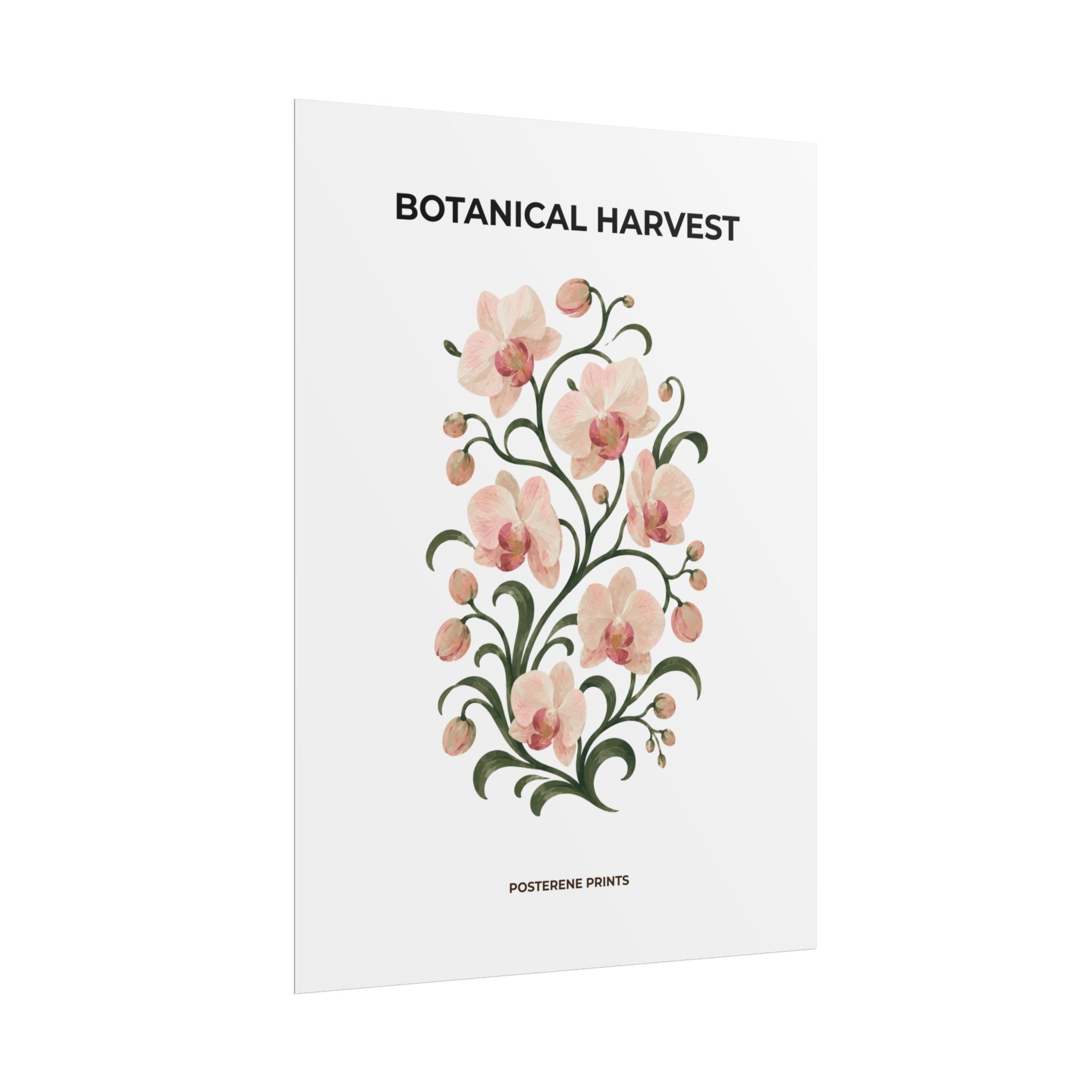 Soft Orchid Botanical Print