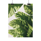 Banana Leaf Shadow Print