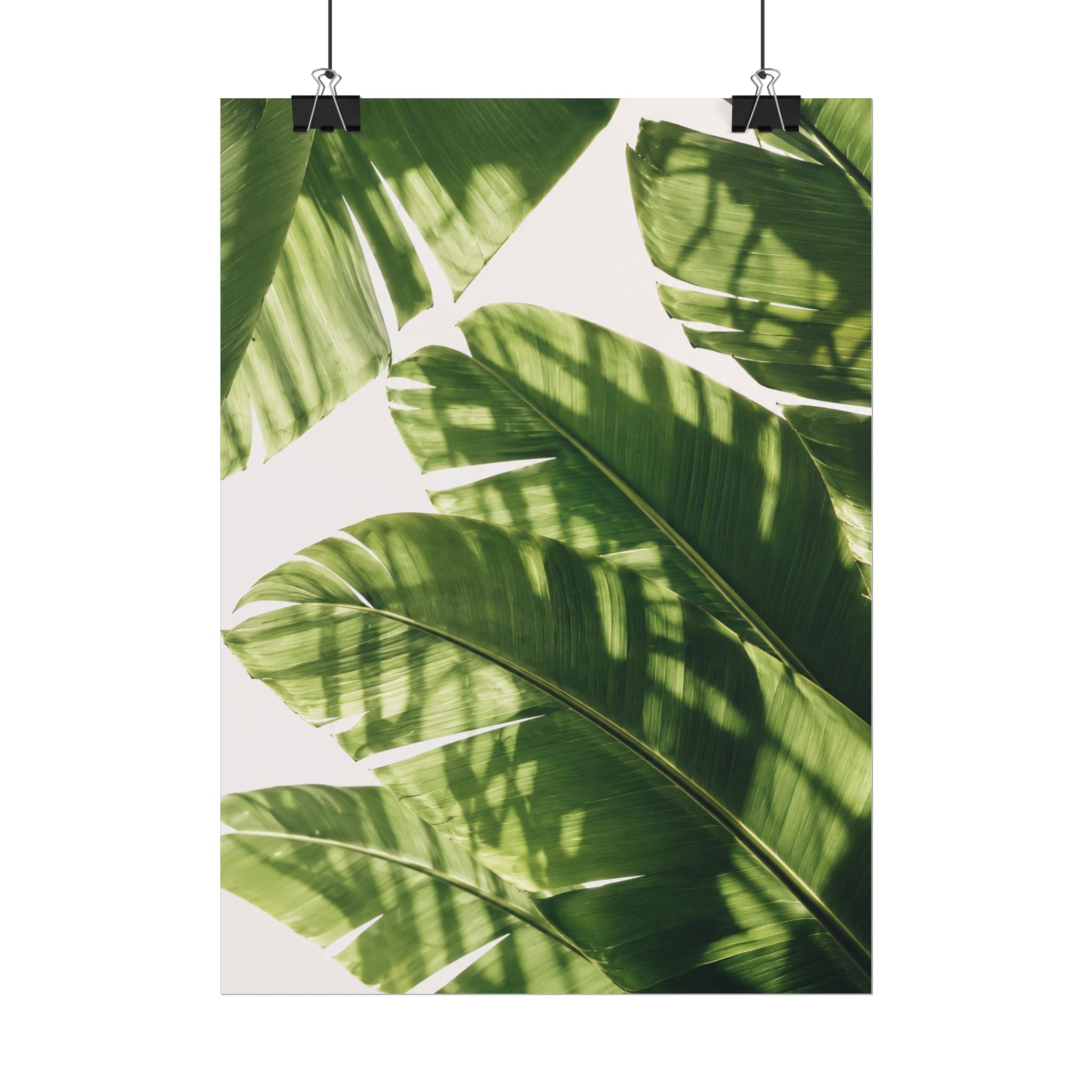 Banana Leaf Shadow Print