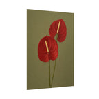 Red Anthurium Print