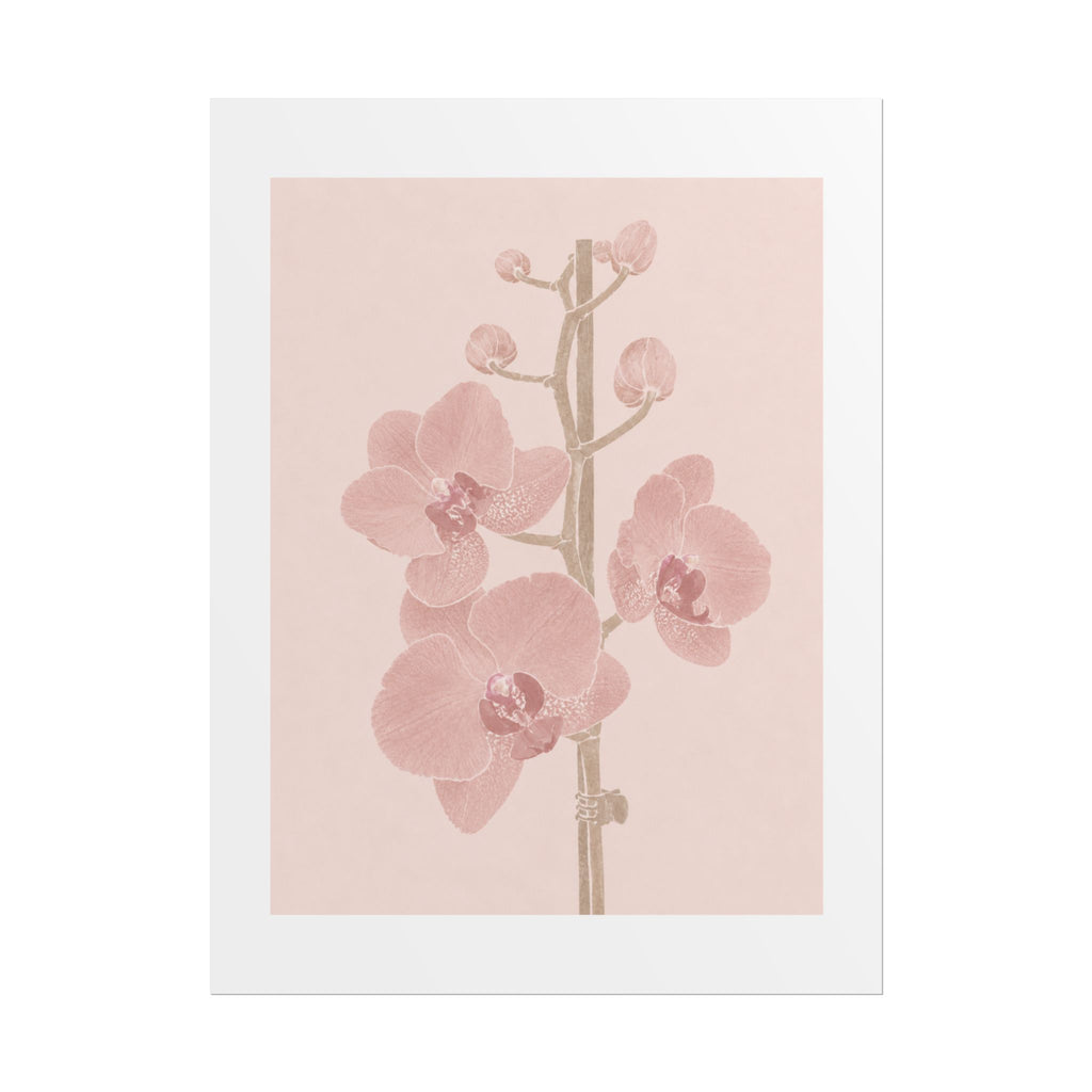 Blush Orchid Branch Print