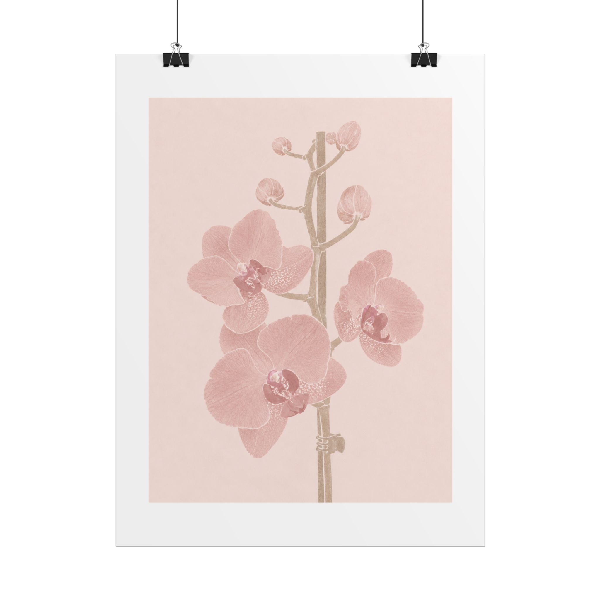 Blush Orchid Branch Print