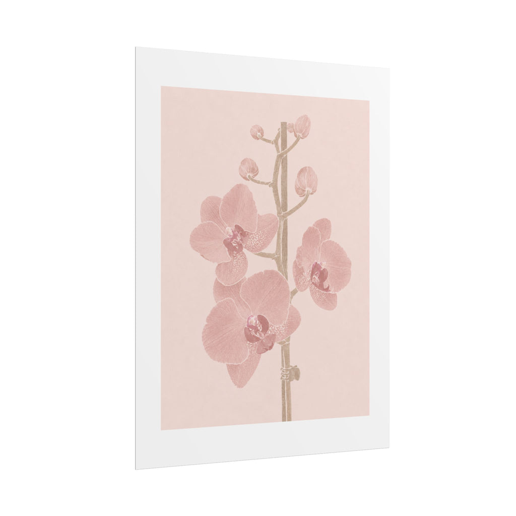 Blush Orchid Branch Print