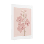 Blush Orchid Branch Print