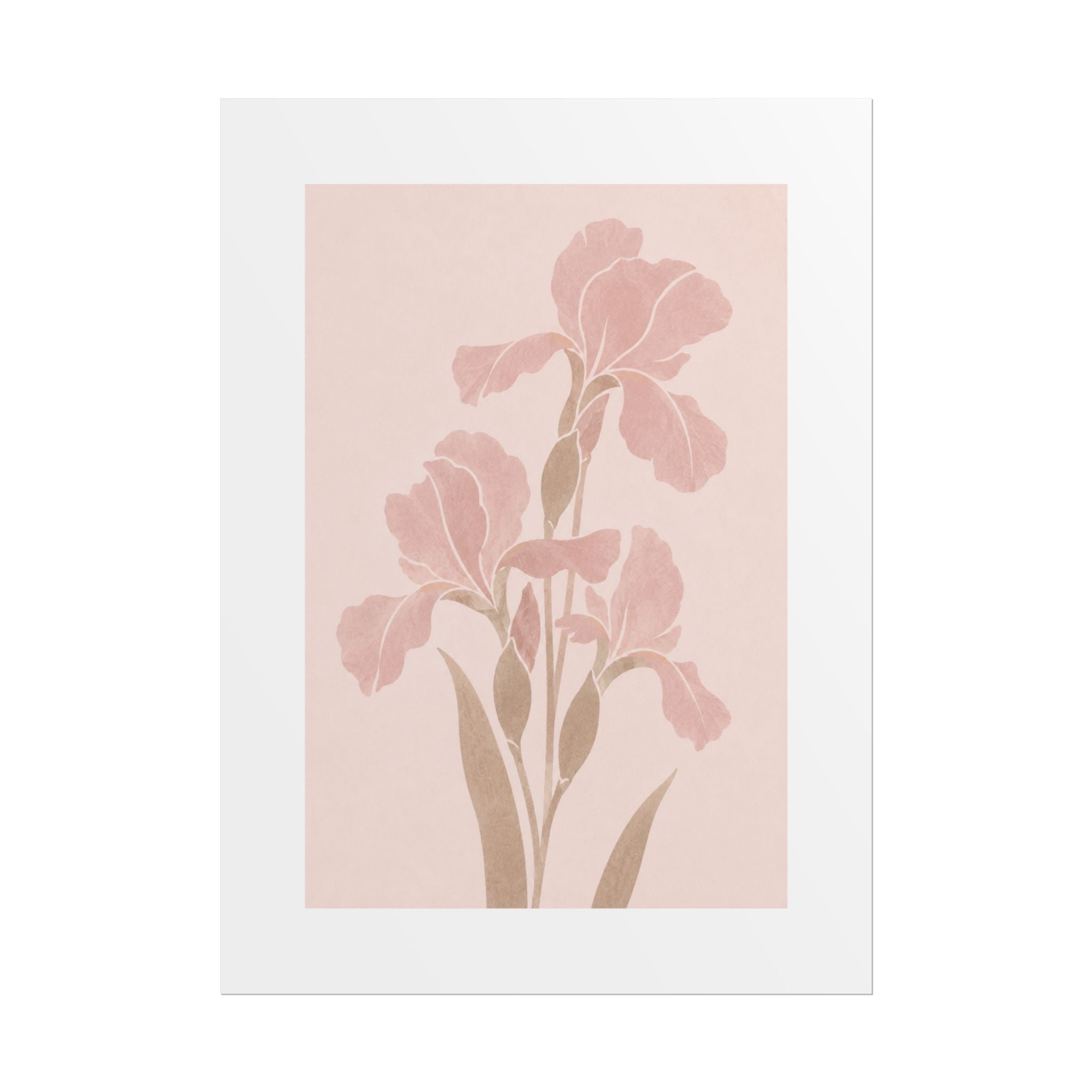 Blush Iris Stem Print