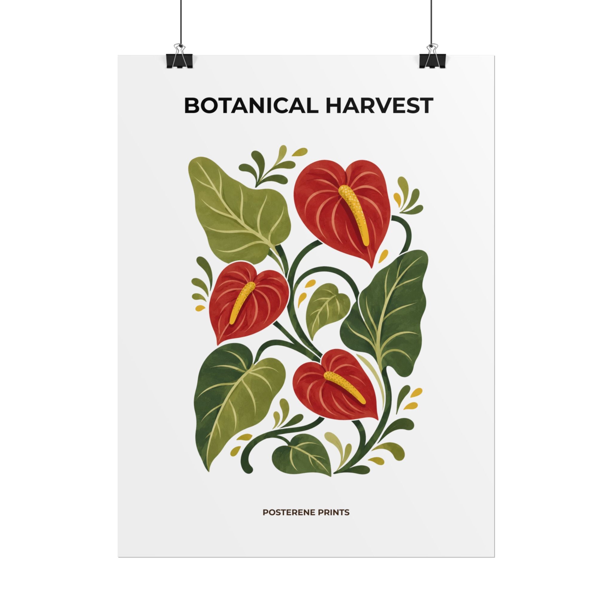Anthurium Botanical Print