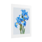 Blue Iris Watercolor Print