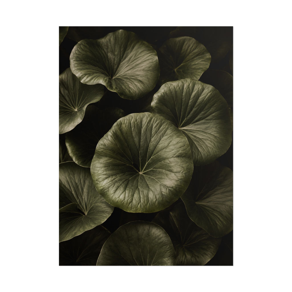 Round Leaf Botanical Print