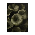 Round Leaf Botanical Print