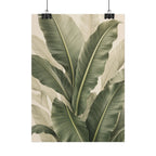Banana Leaves Print