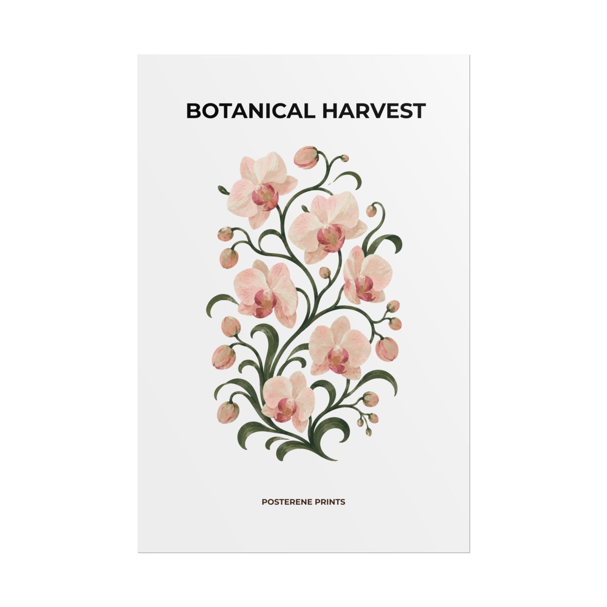Soft Orchid Botanical Print
