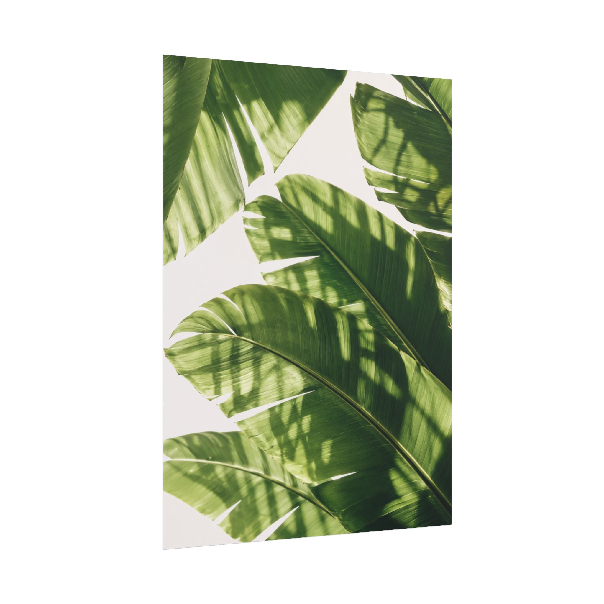 Banana Leaf Shadow Print