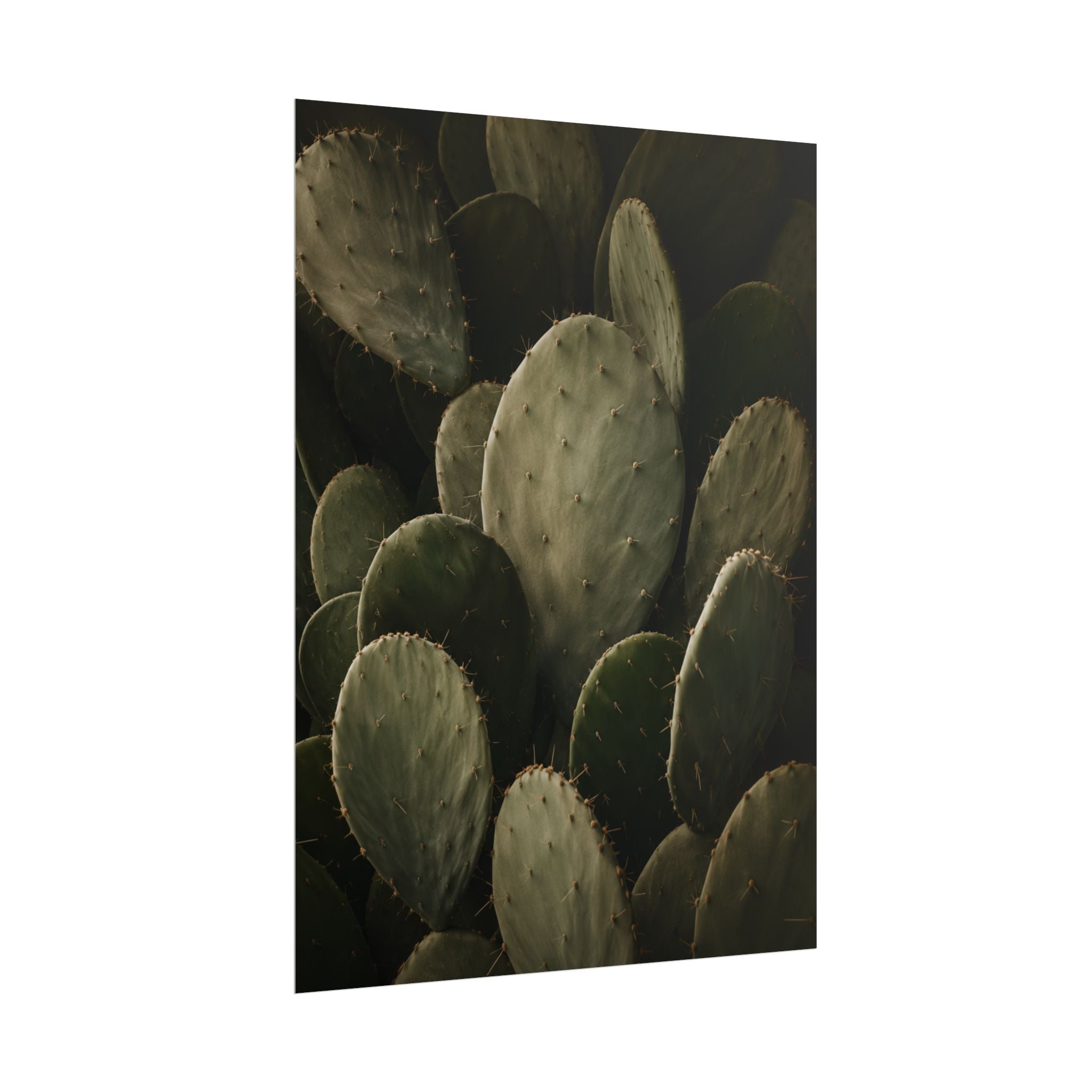 Dark Cactus Print
