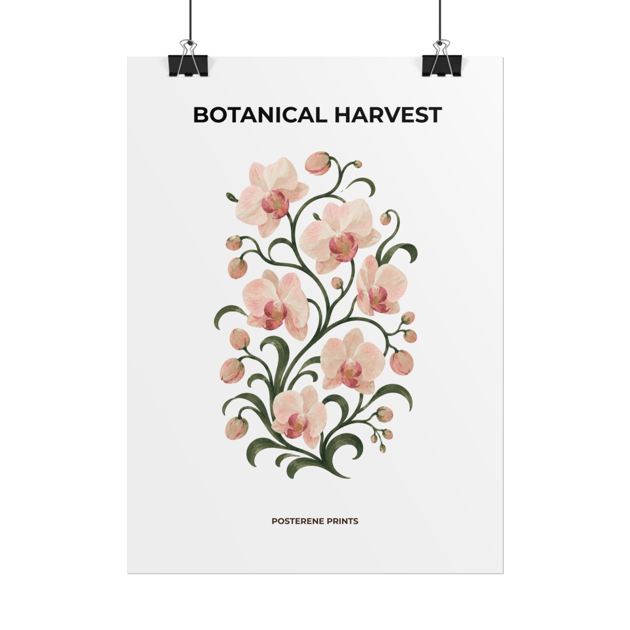 Soft Orchid Botanical Print