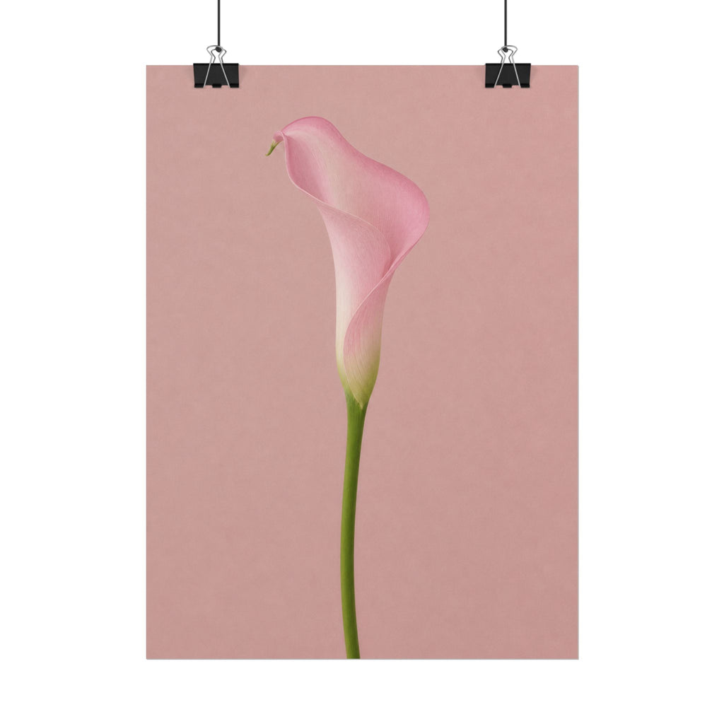 Pink Calla Lily Print