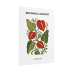 Anthurium Botanical Print