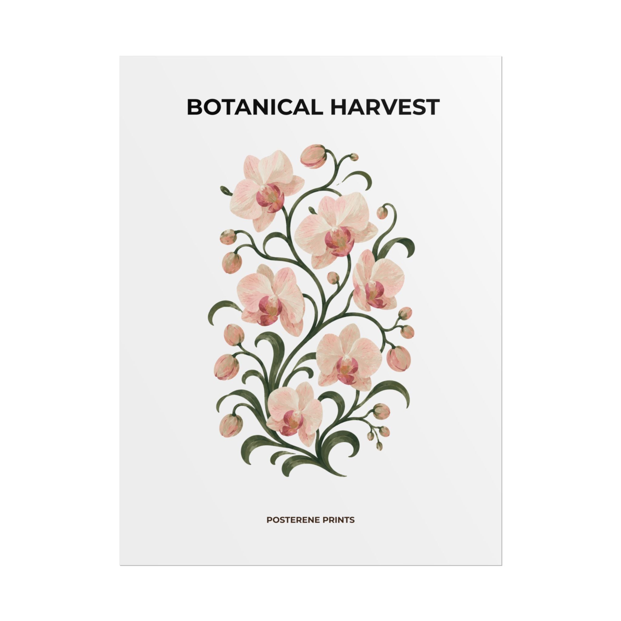 Soft Orchid Botanical Print
