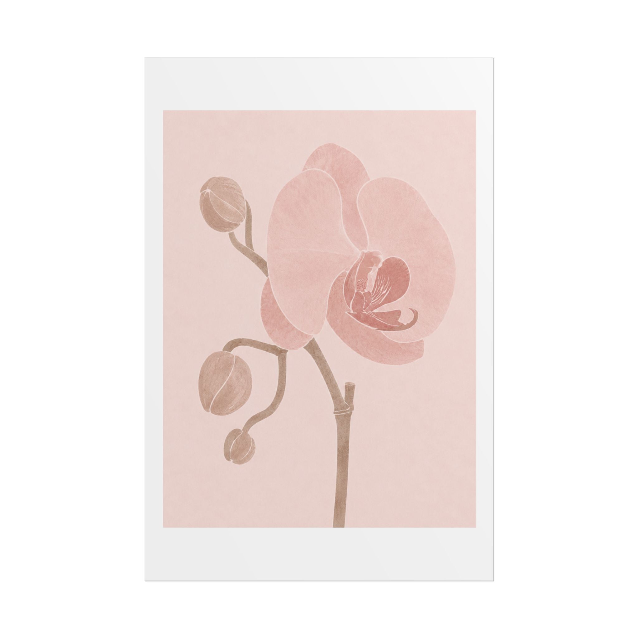 Soft Pink Orchid Print