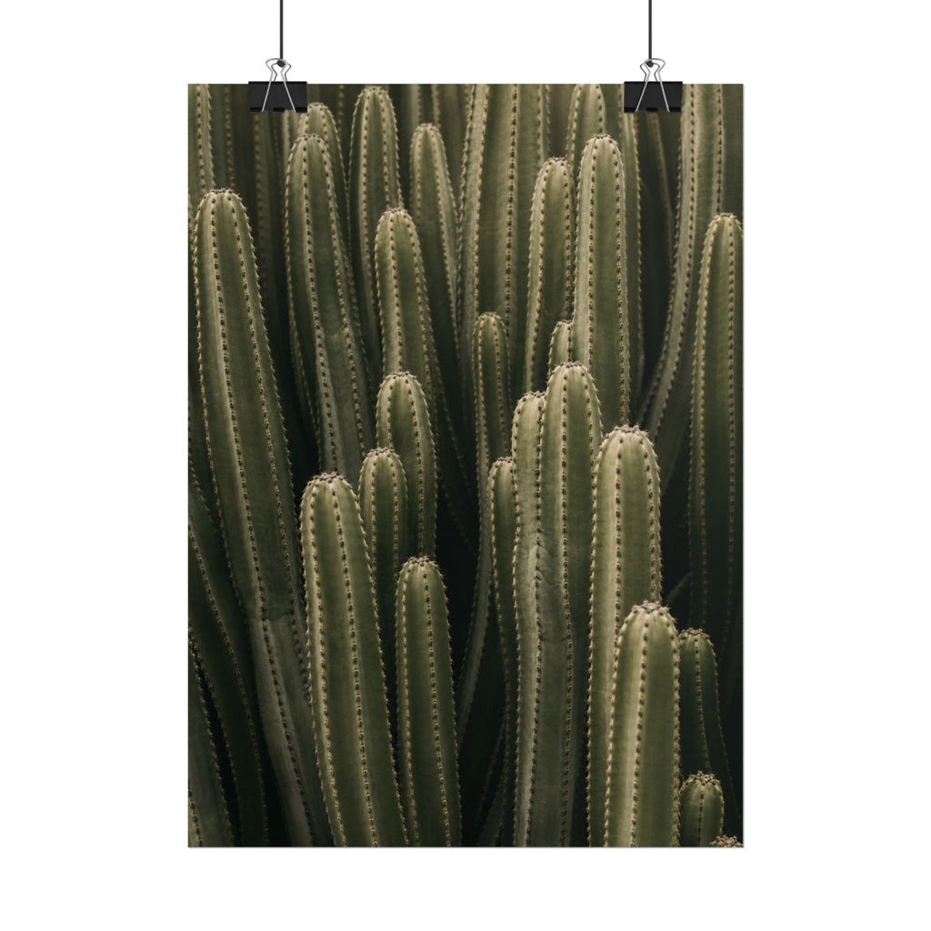 Column Cactus Print