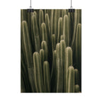 Column Cactus Print