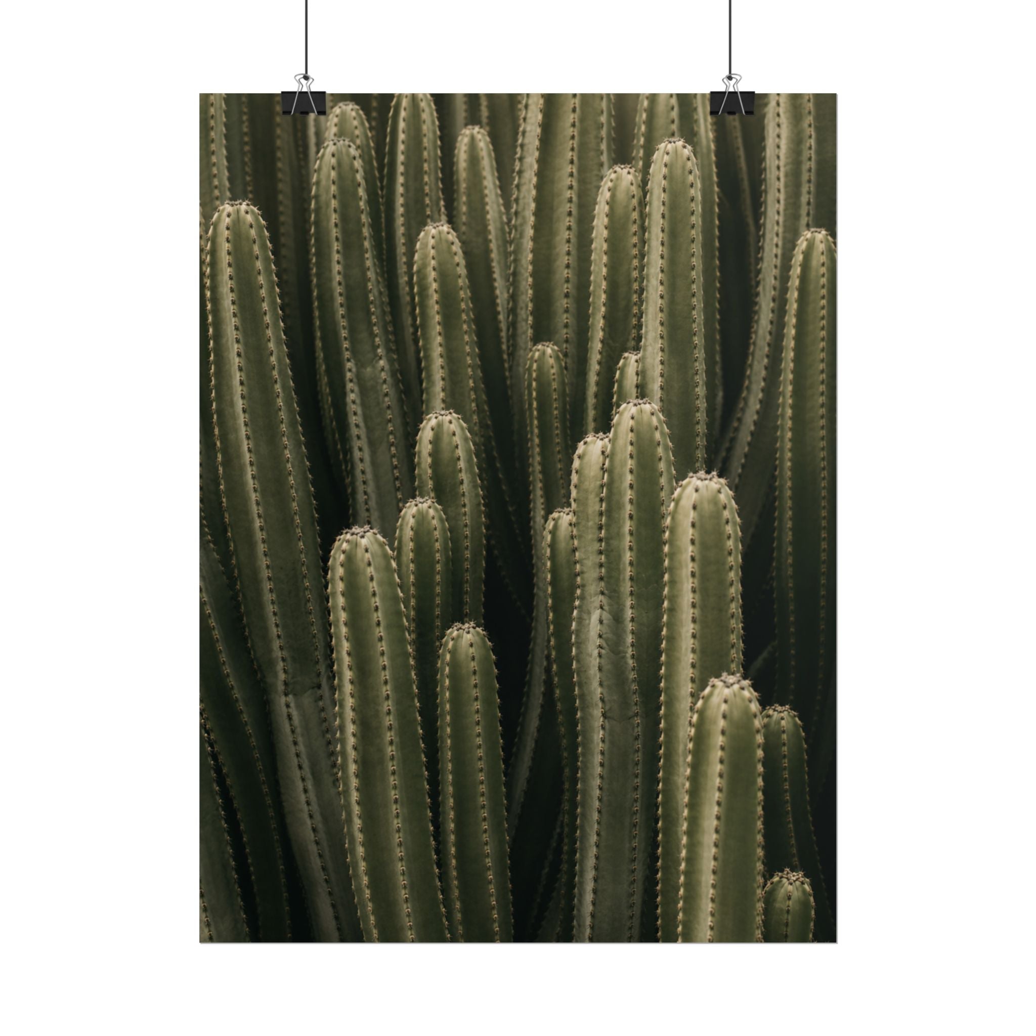 Column Cactus Print